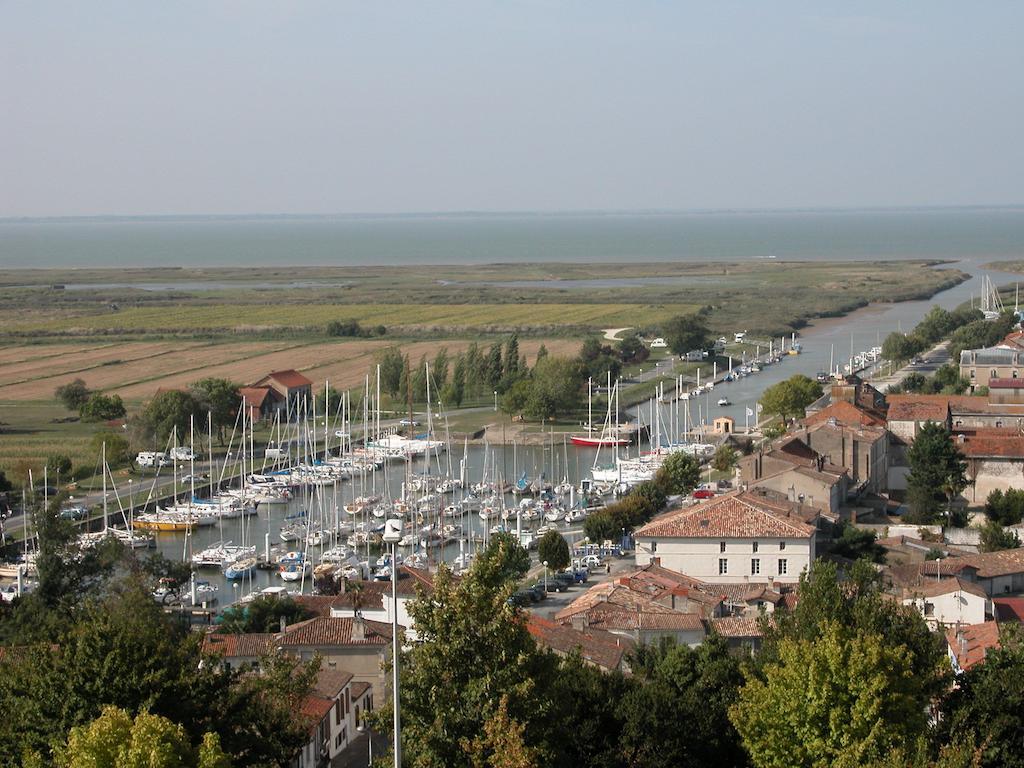 Chambres D'Hotes La Rive Mortagne-sur-Gironde Экстерьер фото
